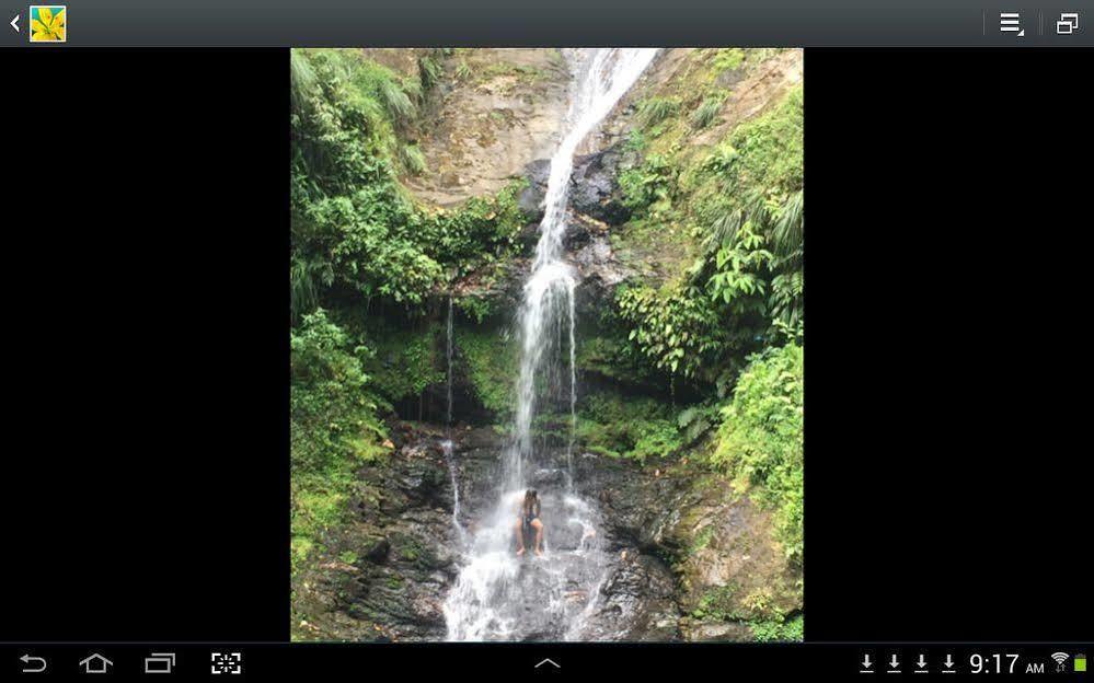 Las Cuevas拉斯奎瓦斯海滩旅舍别墅 外观 照片